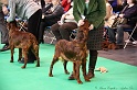 Crufts2011 120